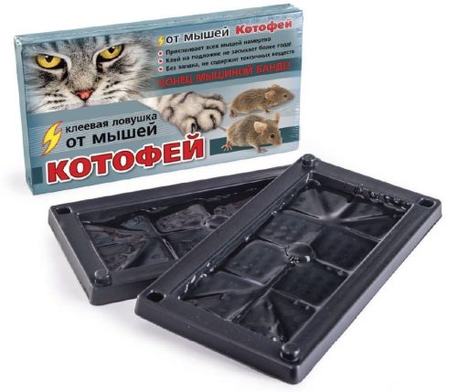 Non-toxic Glue Tray Trap